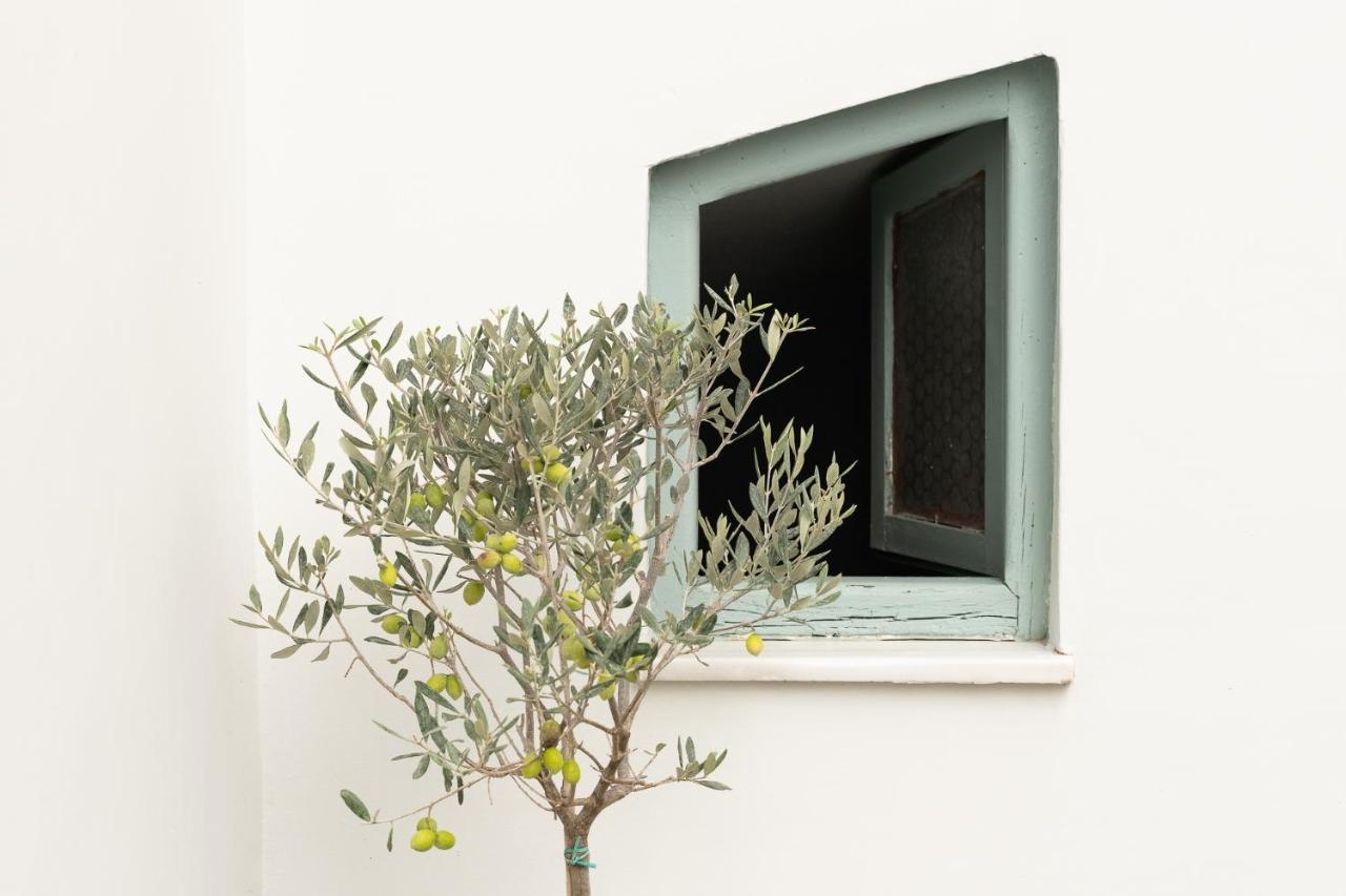 Central5 Boutique Apartments With Common Garden Next To Metro أثينا المظهر الخارجي الصورة